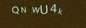 Validation image
